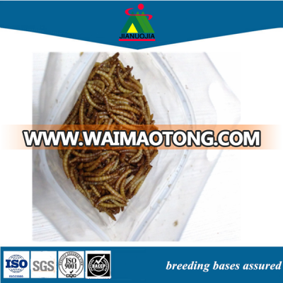 tubs aquaculture chicken birds canary cattle organic dried feed