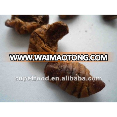 Microwave Dried Silkworm Koi Fish food