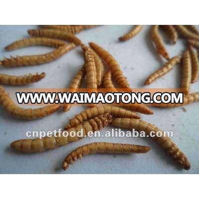 Protein Dried Worm&Insects