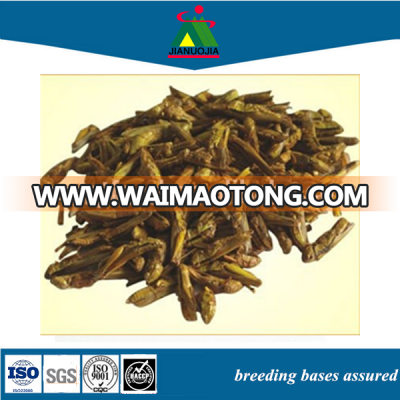 dried pet food product locusts