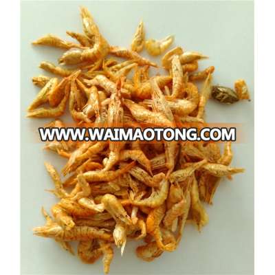 dried river shrimp chciken food pet food