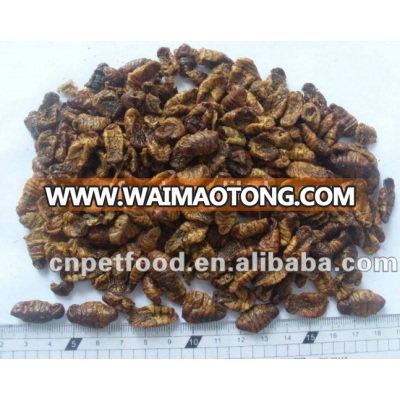 microwaved dried silkworm pupa chicken feed animal feed