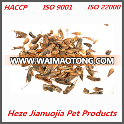 High Protein Bird Food Dried Crickets for Chicken Food