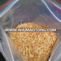 Best selling hikari fish food animal feed mealworm