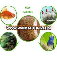 Aquarium Fish Food / Ornamental Fish Food,Dried Mealworms Fish Feed